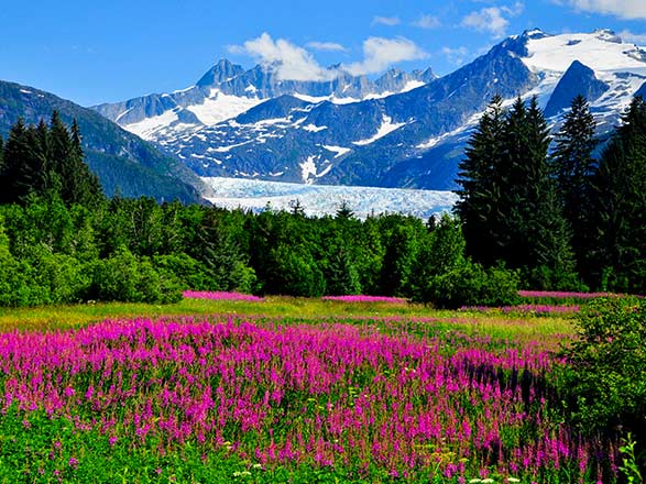 Juneau